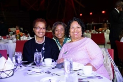 Full-Circle-of-Friends-Cooleysvideo.com-133