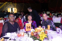 Full-Circle-of-Friends-Cooleysvideo.com-148