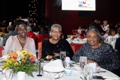 Full-Circle-of-Friends-Cooleysvideo.com-85