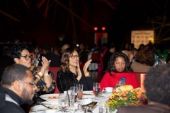 Full-Circle-of-Friends-Cooleysvideo.com-356